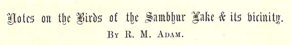 Notes on the birds of the Sambhur Lake & its vicinity, By R.M. Adam 
